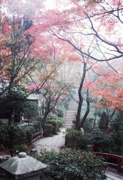 naturae:  Burning leaves at Mitaki Temple