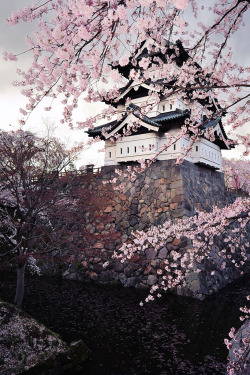 venvm:   Hirosaki Castle in Spring. Japan - (By Glenn Waters) 