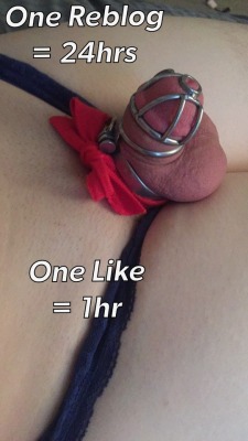 smoothpussysissy: Please Please Please REPOST AND LIKE. I want you guys to keep me locked for a very long time. I know that you all can help me keep this small cock locked up for a long time so please help me out! This is a picture of my cock locked and