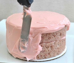 misterfawn:pink strawberry cake