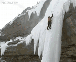 4gifs:  Luckily he fell in the snow 