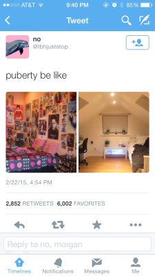 lolsomeone-actually:  coolbloqqer:  where is the lie  This is legit what my room was