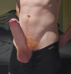 onlygingerscruff:  freckled-ginger-fuck:  PERFECTION. Freckled Ginger Fuckthe Rare Uncut Ginger.   Probably the most reposted #ginger #cock ever