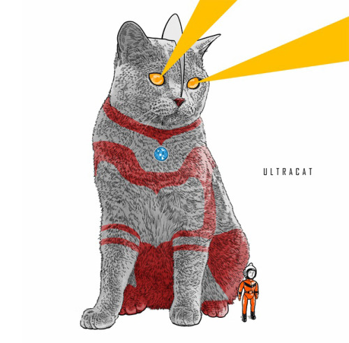gameraboy:  “ICONIC CATS” collection from shanghai-based illustrator A KE /// NeochaEDGE ///