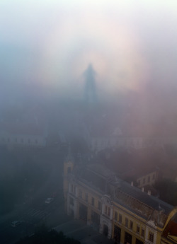 sixpenceee:  Seen in the city of Veszprem, Hungary. The apparition is the observers shadow on clouds or fog. This picture was featured on NASA’s Astronomy Picture of the Day, August 23rd 2014.