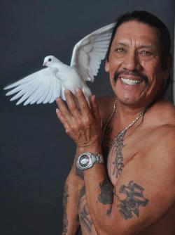 donttrustanybody:  and this is danny trejo with a dove 
