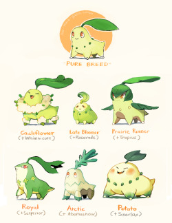 too-much-green:  I finally gave in and did one of those cool pokemon variations going around \o/ I picked Chikorita (my radish baby) for mine and it’s based on different parents, mainly the father! I’ve always liked the idea that when breeding 2 different