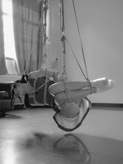 shibshibshib: untitledminor: Rope practice today  Nice side suspension.  