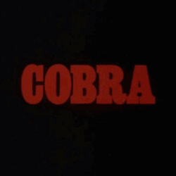rarecultcinema:Cobra (1986)
