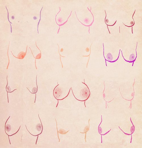 skelliwog:velvet-moon: what tits actually look like  this made me feel a lot better about myself