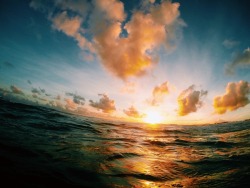 avaswagner:Sunsets are better from the ocean