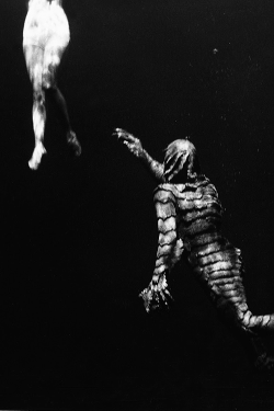 vintagegal:  The Creature From the Black Lagoon (1954)