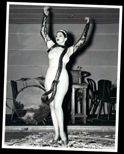 Zorita      (aka. Katherine Boyd Petillo)   Vintage press photo from 1937 features Zorita performing her &ldquo;Wedding Of The Snake&rdquo; act onstage, with one of her Indigo Snakes…  