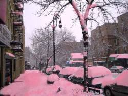 vudulicius:  CAE NIEVE ROSA EN ESTADOS UNIDOS Como un algodón de azúcar se veían las calles en Colorado, Estados Unidos, luego de que cayera sobre ellas nieve color rosa. Este fenómeno es 100 por ciento natural y es provocado por la germinación de