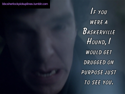 â€œIf you were a Baskerville Hound, I would get drugged on purpose just to see you.â€
