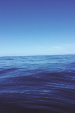 wolverxne:  Bass Strait, Australia | by: Jason King - [Follow on Tumblr]