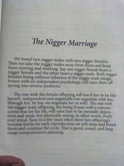 ashe3000:  stack3d-stalli0n:  whateverthefuckingweather:  iamstringerbell:  ………..  Omg.  Wow!!! I wasn’t gonna read this as soon as I saw “nigger” and then I decided to scroll back up and read it…..all I can do is smh  then they brought