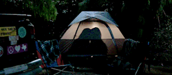 californiaexplicitdreams:  We should go camping