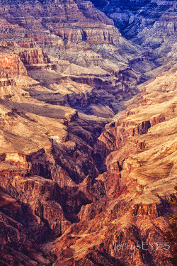 Grand Canyon National ParkMarch 2014 -jerrysEYES