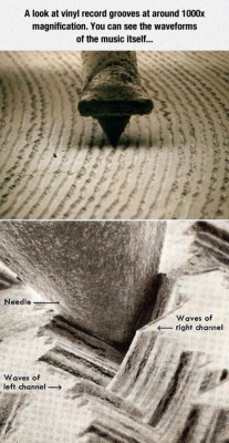 trumpetangst: lolshtus:  The Waveform Of The Music  this is so cool 