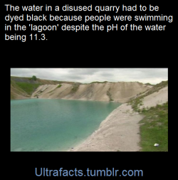 ultrafacts:  A pool at a disused Derbyshire quarry, known locally as the Blue Lagoon, has been dyed black in a bid to deter people from swimming in it.Despite the water at the quarry at Harpur Hill, near Buxton, having a pH level of 11.3 dozens of people