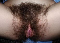 Allhairygirls:  Another Perfect Hairy Pictures At Http://Allhairygirls.tumblr.com/Archive