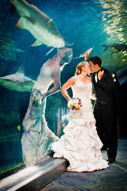 busket:  stunningpicture:  Perfectly timed wedding photo  so she’s marrying a shark in disguise right 