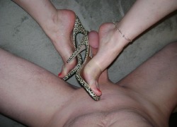 Shaven dick squeezed by clear leopard mules.