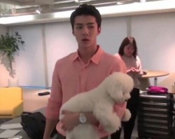 nnoleebugg: Sehun looking like the old women who carry their dog everywhere