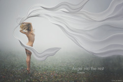   E&rsquo; quando l'anima si perde nella nebbia, che possiamo ritrovare il nostro angeloAngel into the mist - ft. Natasha Legeyda