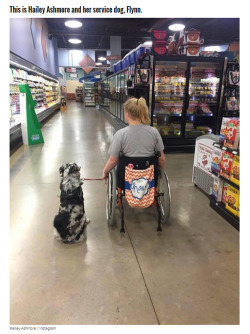 Beloved-Rose:    Teen With Epilepsy Has A Seizure When Her Service Dog Is Distracted