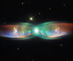 willymaykit:  New Hubble Image of PN M2-9, Twin Jet Nebula August 26, 2015 The cosmic butterfly pictured in this NASA/ESA Hubble Space Telescope  image goes by many names. It is called the Twin Jet Nebula as well as  answering to the slightly less poetic