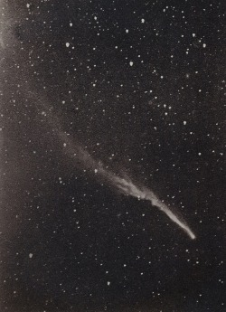 rudygodinez:  Edward Emerson Barnard, Comet “Brooks”, (1893) This image from the photographic archive of the Swiss Federal Observatory was recorded at the Lick Observatory in California on October 21, 1893. 