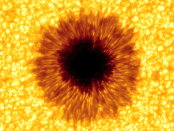 spaceplasma: Sunspots are dark regions on the solar surface that contain complex arrangements of strong  localized magnetic fields and are often accompanied by intense solar activity (such as solar flares, coronal mass ejections), especially during the