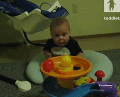 letmegrabyourcuteass:  mentalalchemy:  anomalousdata:  thefrogman:  [video]  This is extra entertaining because I remembered that babies don’t have object permanence: when an object is out of their line of sight, they don’t quite realize that it still