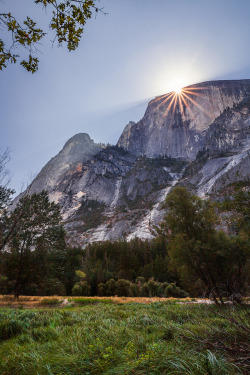 amazinglybeautifulphotography:Every morning in Yosemite… [OC] [1080x1620] - valledweller33