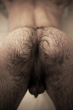 hotforhairymen:  Hot guys near you are looking for action: http://bit.ly/1OUI58P  Hairy booty-liscioius.