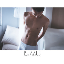 Puzzle | Draco . Lightroom