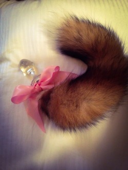 classically-kinked:  I gave my tail a bath