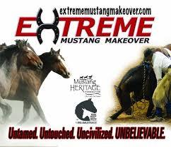 Just watched the 2011 Extreme Mustang Makeover on netflix. Lemme just say I could never do this, I’d be too afraid of falling in love with my mustang, just like some of the showcased trainers had.  In case you don’t know what this competition
