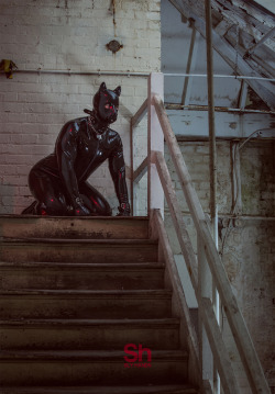 slyhands:  Poor patient pup waiting for his owner to return home.Shoot by Sly Hands for BlackstyleManchester, UKFollow Sly on his new Instagram!   Handsome rubber pup! I love the industrial scene and the idea of a human pup patiently waiting for the retur