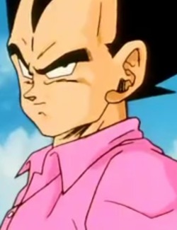vegetapsycho:  vgeta:  percyofnom:  mermaidbunny:  Pretty in Pink  they should just hurry up and design a pink training suit for vegeta already    LMFAOOO 