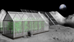 Sagansense:  Nasa’s Next Frontier: Growing Plants On The Moon A Small Team At Nasa’s