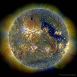 Venus and the Triply Ultraviolet Sun #nasa #apod #sdo #aia #eve #hmi #sun #star #venus #planet #eclipse  #venusianannulareclipse #ultraviolet #light #solarsystem #space #science #astronomy