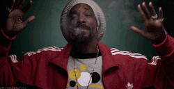 weedporndaily:  Snoop Dogg Has Launched a