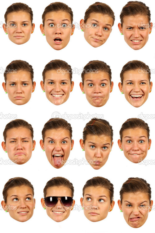 catghost2:  high quality expression references with varied facial types 