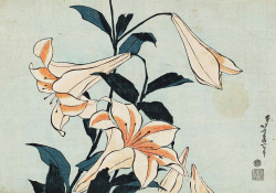 blackcoffeecinnamon:  Katsushika Hokusai (1760-1849)   葛飾北斎 Lilies, ca.1832-34 