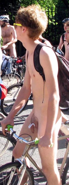 turistico12:  Elephant with yellow sunglasses at WNBR  Nice
