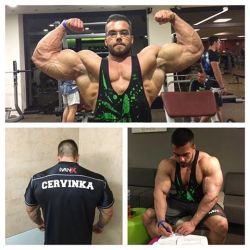 ultramasculinity:  Pavel Cervinka…I want him and Lorenzo Becker to armwrestle…I would probably have 20 orgasms in a row without touching myself…