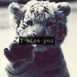 I really do miss you!!! on We Heart It. http://weheartit.com/entry/80100472/via/agata_stare